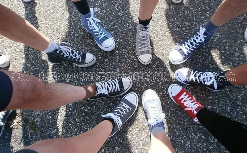 乐玩国际网址百度手机输入法未来：双星2025新款男鞋运动鞋的创新设计与科技亮点