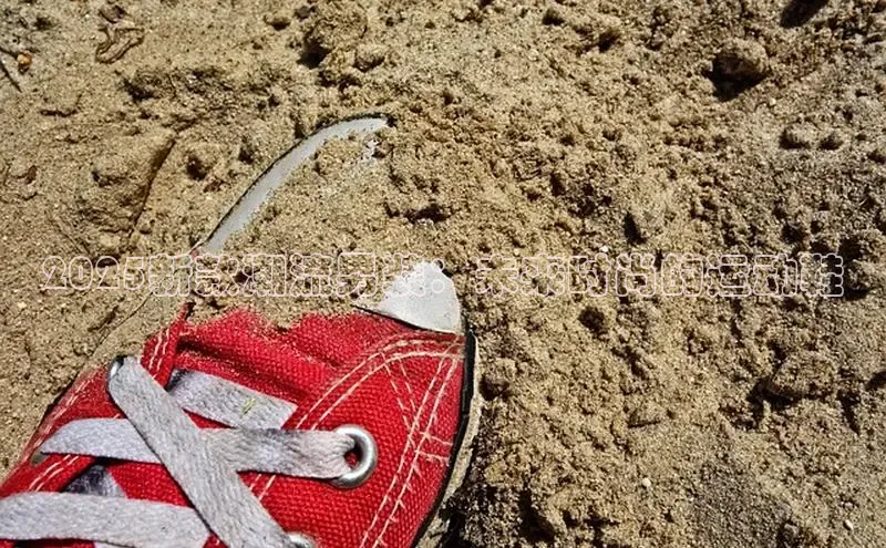 2025新款潮流男装：未来时尚的运动鞋